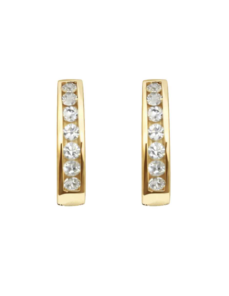 Arracadas con Zirconias - en Oro 10k